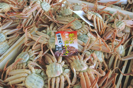 【カニ】驚きの旨さ！茹でセコガニ 【訳あり】小サイズ5匹入 カニ