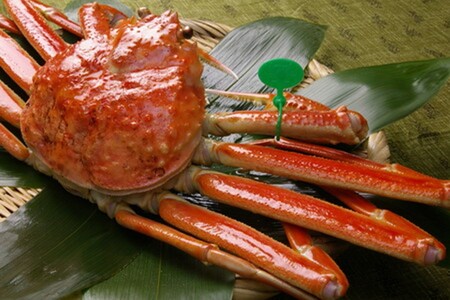 タグ付き 茹で間人蟹 【厳選】 大サイズ | ブランド ズワイガニ カニ