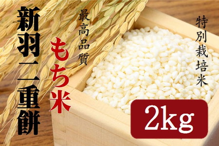 【高級和菓子店契約】新羽二重餅【もち米】2kg<京都・京丹後産 特別栽培米 もち米>