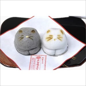 【京都・丹後の生菓子】猫 NEKO-NO-EN(ねこのえん)と季節の上生菓子10ヶ入セット　～金刀比羅神社内の狛猫にちなんだ和菓子～