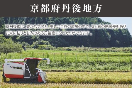 京都丹後産　特別栽培米　おおきに大地米　パックご飯12個
