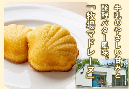 【マドレーヌ／焼き菓子】牧場マドレーヌ１５ケ入 牛乳のやさしい甘みと発酵バター風味豊かなマドレーヌ