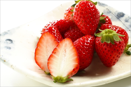 完熟いちご／果物【先行予約／数量限定】京都丹後産 完熟いちご（かおりの） 4パック（2026年3月中旬～発送）いちごパック・いちごセット・いちご詰め合わせ