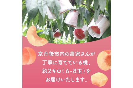 桃／フルーツ【先行予約／数量限定50】京都丹後産 桃 約2kg（6～8玉）（2024年7月下旬～発送）＜旬のおすすめ品種をお届け＞旬の桃・桃ギフト・もも・モモ・果物