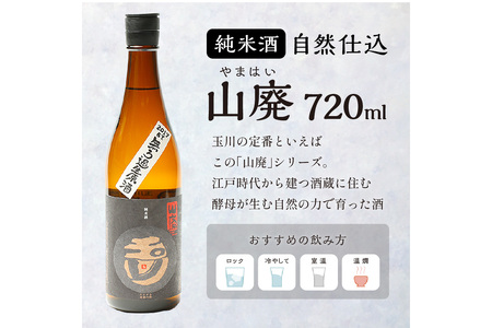 【京都・京丹後の山廃・無濾過生原酒】玉川 自然仕込 純米酒（山廃）720ml＜木下酒造定番 玉川 山廃シリーズ／無濾過 生原酒／無ろ過＞