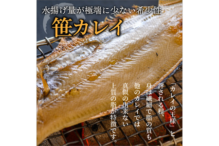 のどくろ、笹カレイ入り 一夜干し詰め合わせ プラチナ