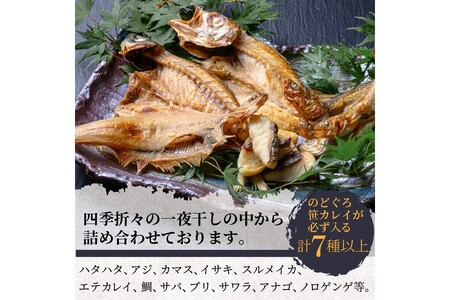 のどくろ、笹カレイ入り 一夜干し詰め合わせ プラチナ