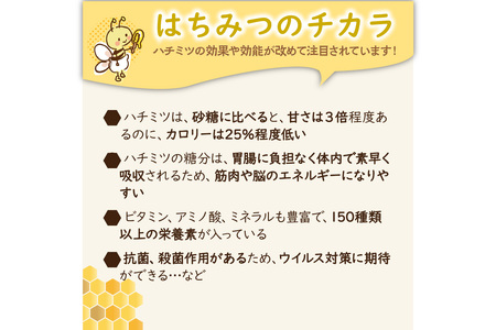 【ハチミツ】KYOTOTANGOHONEY森の百花蜜純粋天然ハチミツ５００ｇ 蜂蜜・はちみつ・国産・天然・ハチミツ