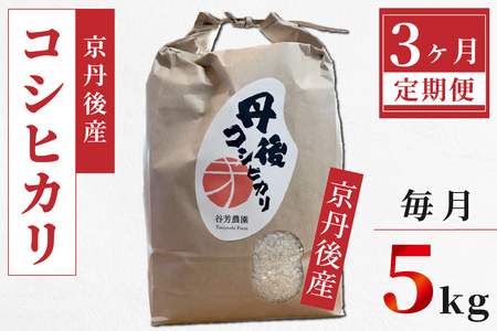 新品即決 丹後コシヒカリkg 3年度産 現金特価 Touchmemarketing Com