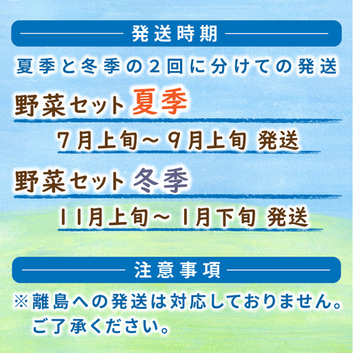 【野菜の定期便】有機野菜セット 夏冬 年２回 | SORA農園