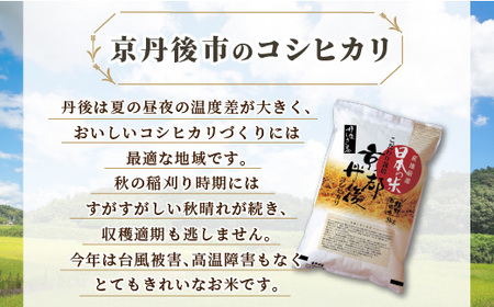 新春セール！3年産『特別栽培米・丹後産コシヒカリ』送料無料