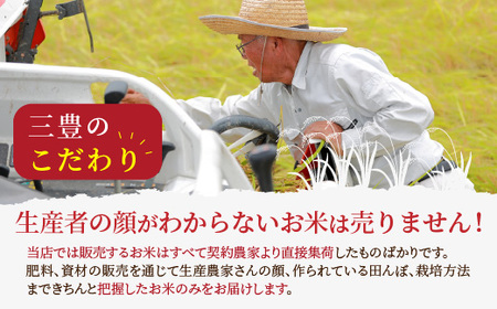 令和6年産 京都丹後産 特別栽培米コシヒカリ5kg（5kg×1袋） | 京都府京丹後市 | ふるさと納税サイト「ふるなび」