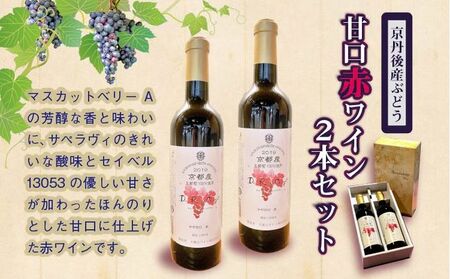 【天橋立ワイン】赤ワイン・甘口／京都・京丹後産ぶどうを醸造した甘口の赤ワイン 720ml×2本 セット　＜日本ワインコンクール受賞のワイナリーからお届けワイン／スカットベーリーA・サペラヴィ・セイベル13053をブレンドした甘口赤ワイン／ワイン好き／国産ワイン／京都産ワイン／天橋立ワイン／丹後ワイン／京丹後産ブドウを使ったワイン／ほんのりとした甘口ワイン／赤ワイン／ぶどうワイン／ご家庭用ワイン／パーティワイン／フルボトルワイン／贅沢ワイン／お祝いワイン／プレゼントワイン／お取り寄せワイン／ギフトワイン／詰め合わせワイン／農家応援ワイン／生産者応援ワイン／ふるさと納税ワイン／送料無料ワイン わいんワイン わいんワイン わいんワイン わいんワイン わいんワイン わいんワイン わいんワイン わいんワイン わいんワイン わいんワイン わいんワイン わいんワイン わいんワイン わいんワイン わいんワイン わいんワイン わいんワイン わいんワイン＞