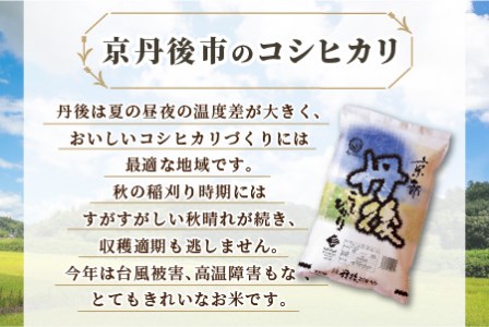 定期便6か月》京都丹後産 コシヒカリ5kg（5kg×1袋）｜京都府京丹後市