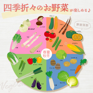 旬のお野菜おまかせ8種セット・ミニサイズ（1～2人）