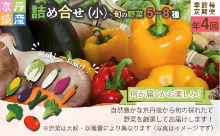 京丹後産・旬の野菜 5～8種詰め合わせ（小）年4回／季節毎 定期便