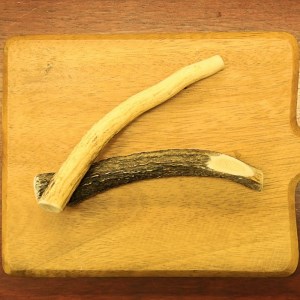 鹿の角(Sサイズ×2本)京都丹後産 ペット犬用おやつ ドッグガム