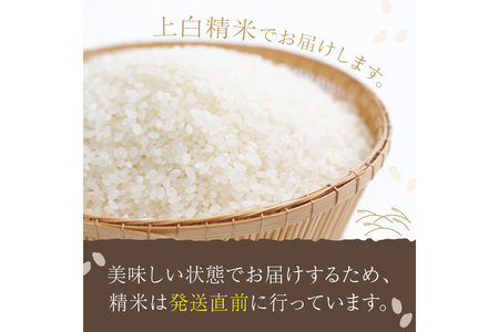 令和7年産　丹後こしひかり 5kg 1等米