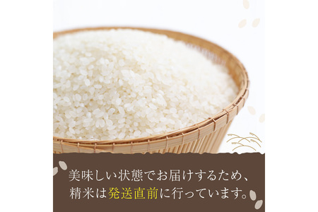 コシヒカリ1等米令和7年産10kg(5kg×2)｜コシヒカリ