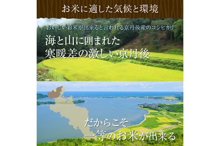 コシヒカリ1等米 5kg 令和7年 精米 コシヒカリ