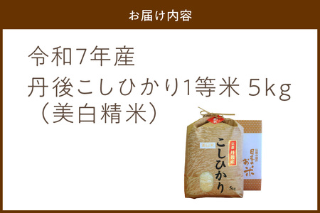 コシヒカリ1等米 5kg 令和7年 精米 コシヒカリ