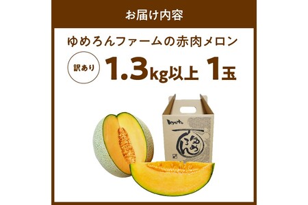 【先行予約/数量限定100】ゆめろんファームの赤肉メロン(訳あり品)(2026年6月上旬~発送)
