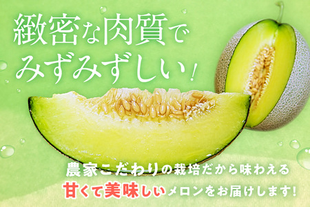 【先行予約／数量限定100】ゆめろんファームの青肉メロン（訳あり品）（2026年6月上旬～発送）