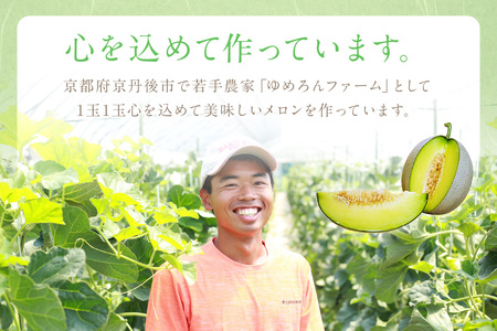 【先行予約／数量限定100】ゆめろんファームの青肉メロン（訳あり品）（2026年6月上旬～発送）