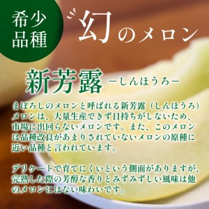 メロン／果物【先行予約／数量限定200】幻のメロン 新芳露 2玉（2025年7月中旬～発送）　「幻のメロン」と言われる希少メロン