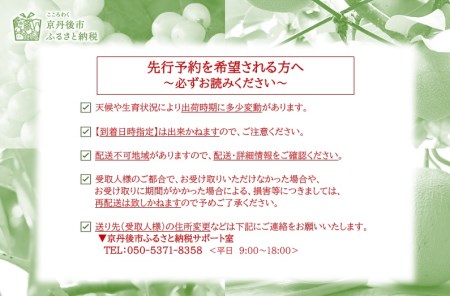 メロン／果物【先行予約／数量限定200】幻のメロン 新芳露 2玉（2025年7月中旬～発送）　「幻のメロン」と言われる希少メロン