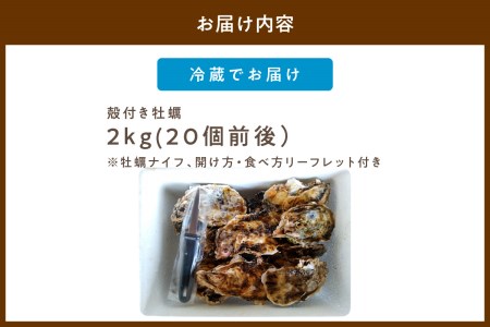 京都・久美浜産　殻付き牡蠣2kg（20個前後）【加熱用】牡蠣ナイフ付