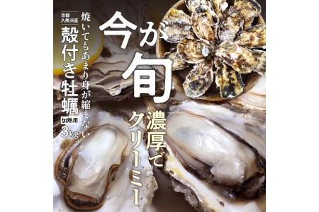 京都・久美浜産 殻付き牡蠣 3kg（30個前後）【加熱用】牡蠣ナイフ付