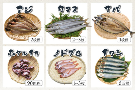 【干物 定期便・3ヶ月】リピーター人気！京丹後の地元魚屋が作ったお任せ干物セット（冷凍）日本海 旬の干物 定期便 3回 ・干物セット定期便・干物詰め合わせ・ひもの