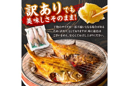 【定期便・隔月5回】京丹後の地元魚屋が作ったお任せ干物セット（冷凍）
