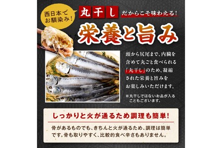 【定期便・隔月5回】京丹後の地元魚屋が作ったお任せ干物セット（冷凍）