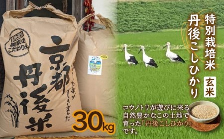 先行予約】特別栽培米 令和5年産 丹後こしひかり 玄米30Kg | 京都府