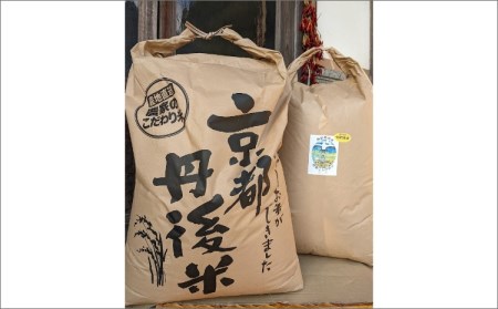ふるさと納税 【先行予約】特別栽培米 令和5年産 丹後こしひかり 玄米