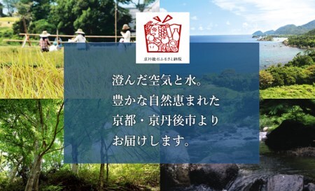 熟成黒にんにく／安心安全な 熟成 黒にんにく 1袋（200ｇ） 低農薬 京都／京丹後産のフルーティな黒にんにく。　土づくりにこだわった黒にんにくです。