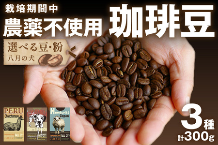 【農薬 不使用 農法】自家焙煎コーヒー豆　お試しセット（100gx3種）八月の犬　珈琲豆　ドリップ　飲み比べ