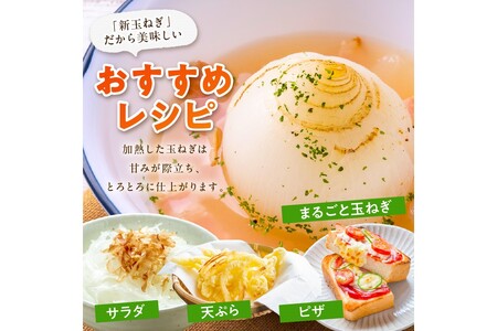 【訳あり】新たまねぎ　新鮮なタマネギ／料理にも使いやすい玉葱／京都産 玉ネギ／玉ねぎスープにも！