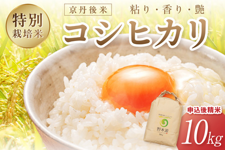 京丹後米　特別栽培米コシヒカリ10kg　令和5年　注文後精米
