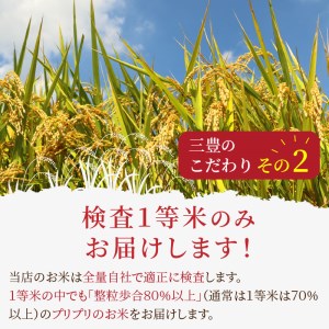 定期便3か月》京都丹後産 特別栽培米コシヒカリ5kg（5kg×1袋） | 京都