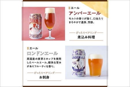 京都 丹後のクラフトビール 6缶セット TANGO KINGDOM Beer 6種 （350ml×6本）