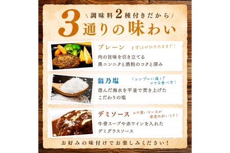 塩で食べるやわらかハンバーグ（デミグラスソース付） 肉 牛肉 ハンバーグ デミグラスソース 冷凍  はんばーぐ 惣菜 小分け   調理済み おかず 時短 ランキング 定番 お中元 お歳暮 贈答 ギフト クリスマス 年末 年始