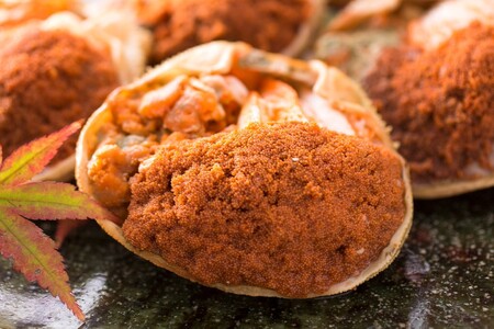 【間人 炭平旅館の味】セイコ蟹のむき身甲羅盛り　3個セット【2026年発送】 蟹