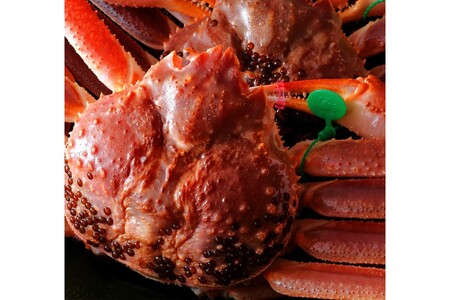 【創業明治元年　間人 炭平旅館の味】はしうど蟹　1000g級　茹で蟹　上1杯　【2026年発送】 