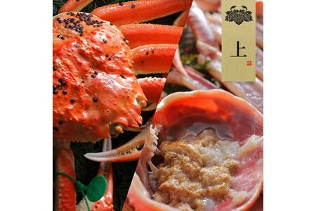 【創業明治元年　間人 炭平旅館の味】はしうど蟹　1000g級　茹で蟹　上1杯　【2026年発送】 