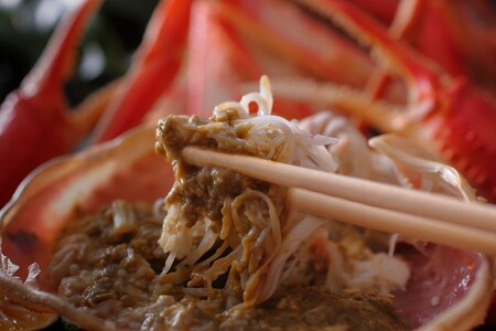 【創業明治元年　間人 炭平旅館の味】はしうど蟹　1000g級　茹で蟹　上1杯　【2026年発送】 