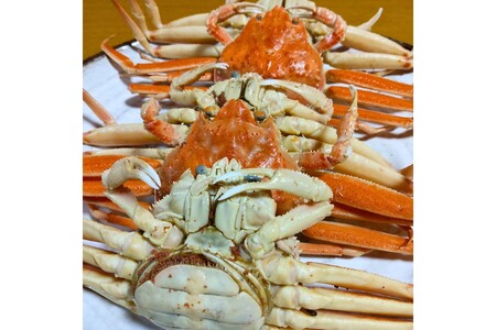 【カニ】京丹後市より茹でたて プロトン凍結 【 訳あり 】 茹でこっぺがに 香箱ガニ 5匹 カニ