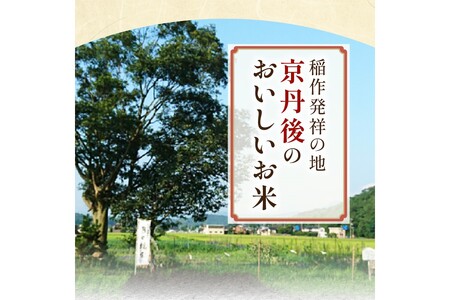 特別栽培米 一等検査米 新米 令和6年 京都 丹後 コシヒカリ 玄米